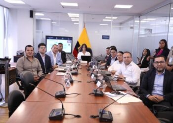 Constitucionalista propone agravante por vulneración de derechos de adultos mayores en situación de vulnerabilidad