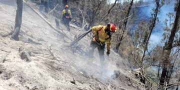 El incendio forestal en el cerro Casitagua, todavia no sea liquidado.