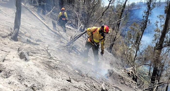 El incendio forestal en el cerro Casitagua, todavia no sea liquidado.