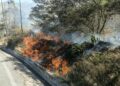 ECU 911 coordinó 58 incendios forestales en Chimborazo septiembre
