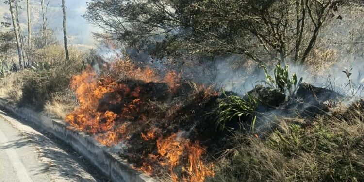 ECU 911 coordinó 58 incendios forestales en Chimborazo septiembre
