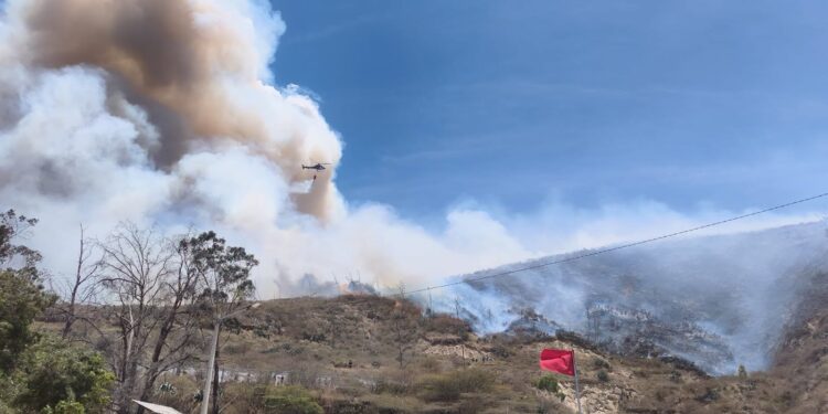Incendio forestal en Casitagua activa operativo de emergencia en Quito