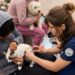 Riobamba amplía atención veterinaria en comunidades rurales con jornada para 80 mascotas